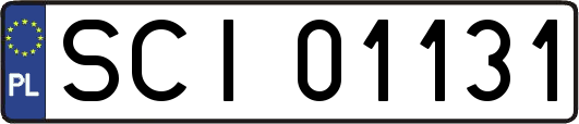 SCI01131