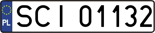 SCI01132