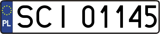 SCI01145