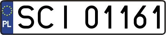 SCI01161