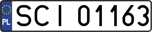 SCI01163