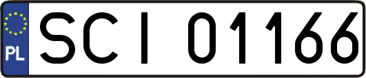 SCI01166