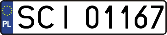 SCI01167