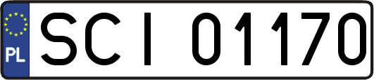 SCI01170