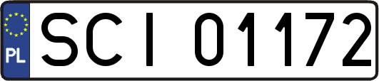 SCI01172