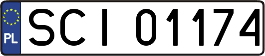 SCI01174