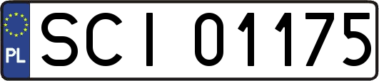 SCI01175
