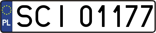 SCI01177