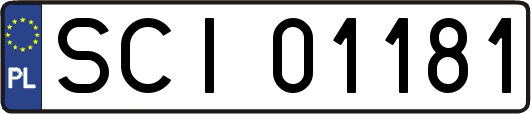 SCI01181