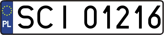 SCI01216