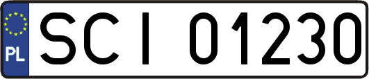 SCI01230