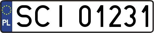 SCI01231