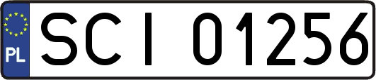 SCI01256