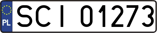 SCI01273