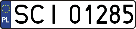 SCI01285