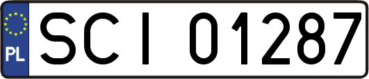 SCI01287