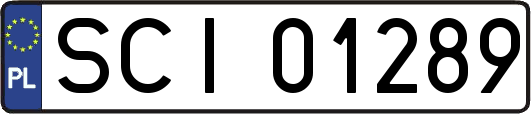 SCI01289