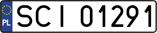 SCI01291