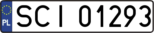 SCI01293