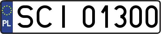 SCI01300
