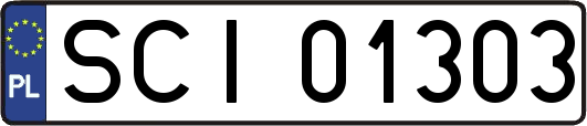 SCI01303