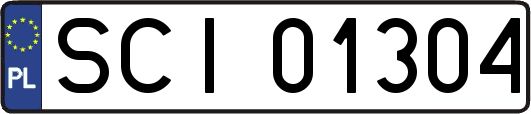 SCI01304