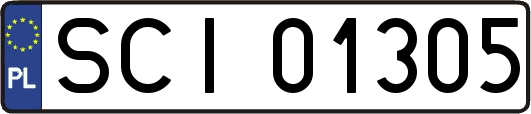 SCI01305