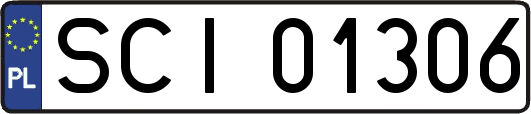 SCI01306
