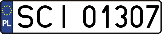 SCI01307