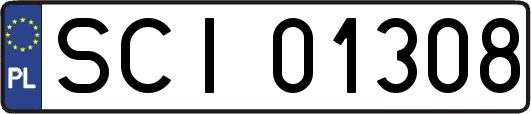 SCI01308