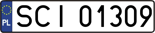 SCI01309
