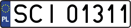 SCI01311