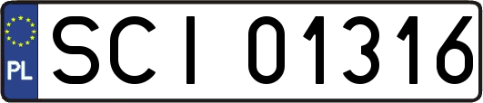 SCI01316