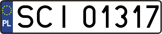 SCI01317