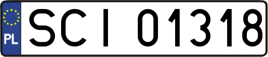 SCI01318