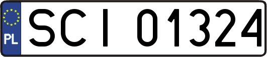 SCI01324