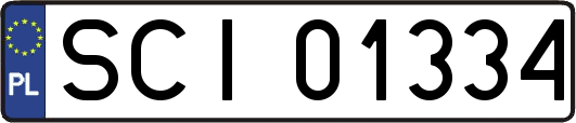 SCI01334