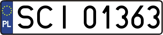 SCI01363
