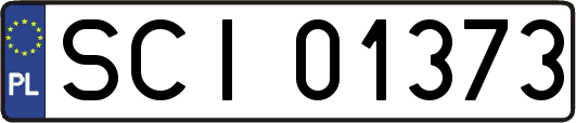 SCI01373