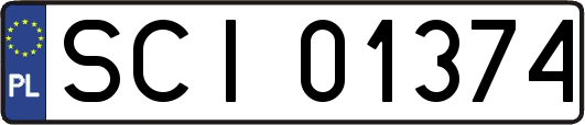 SCI01374