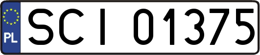 SCI01375