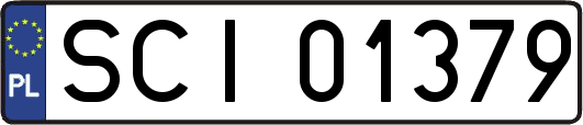 SCI01379