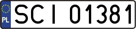SCI01381