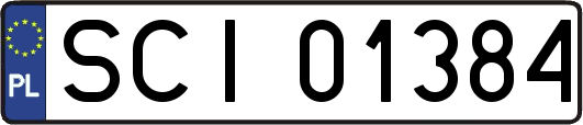 SCI01384