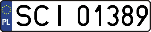 SCI01389