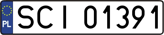 SCI01391