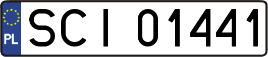 SCI01441