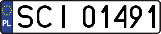 SCI01491