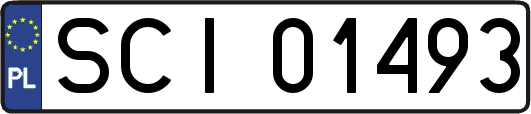 SCI01493