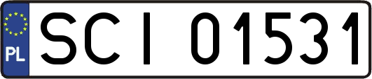 SCI01531
